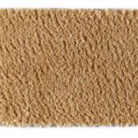 Bold Indulgence carpet - 054